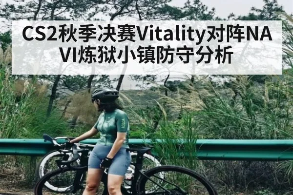 CS2秋季决赛Vitality对阵NAVI炼狱小镇防守分析