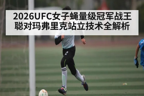 2026UFC女子蝇量级冠军战王聪对玛弗里克站立技术全解析